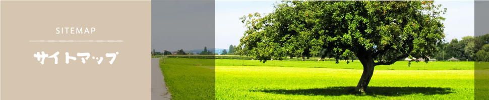 サイトマップ