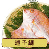 連子鯛